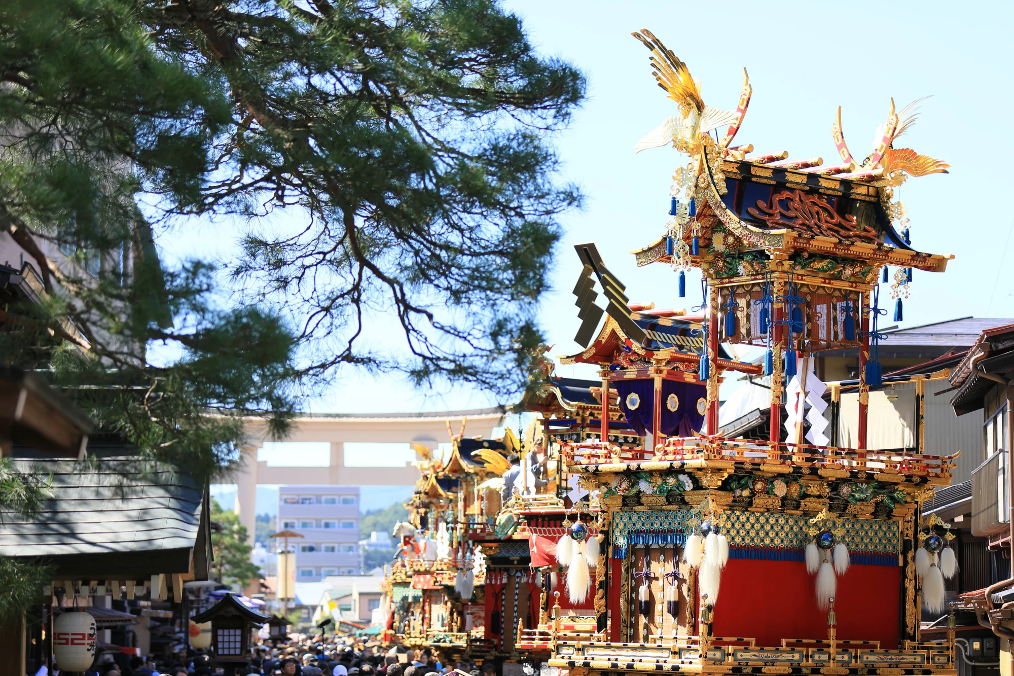 秋の高山祭2026！動く陽明門と宵祭の幻想美